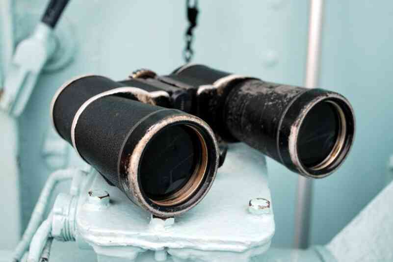 2016 01 02 binoculars