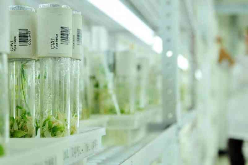 Laboratory small